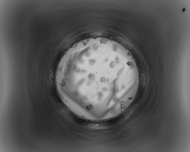 X0000083030557200703022029