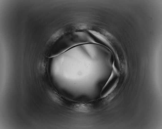 X0000083030558200703022029