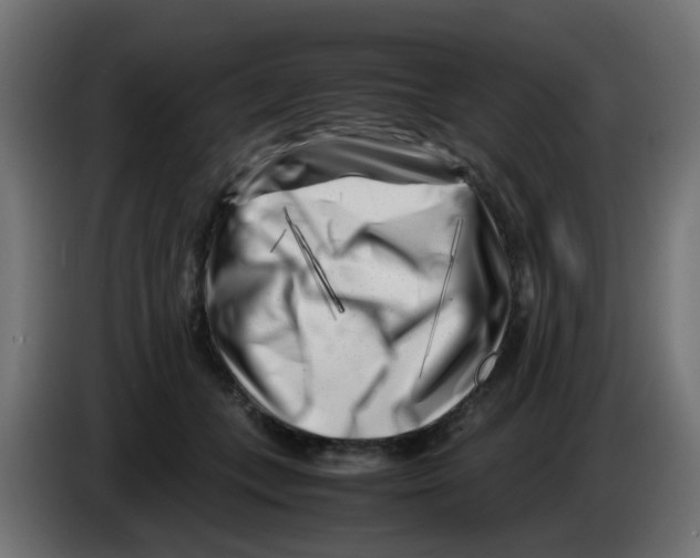 X0000083030559200703022029