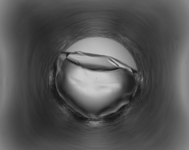 X0000083030560200703022029