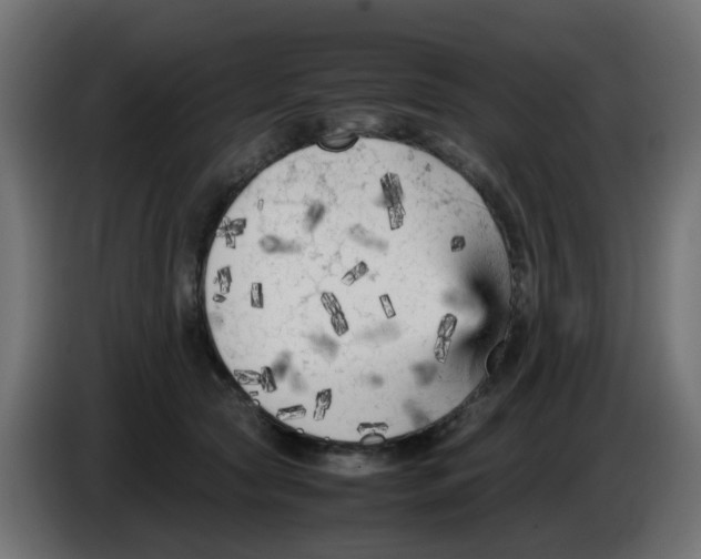 X0000083030561200703022029