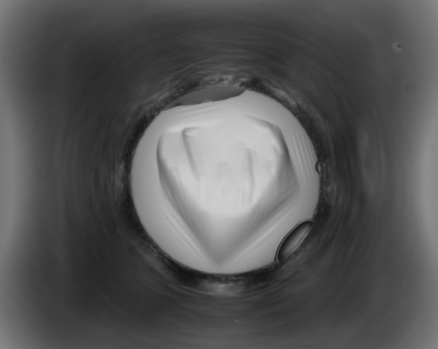 X0000083030563200703022029