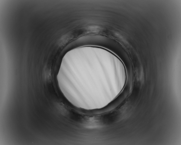 X0000083030564200703022029