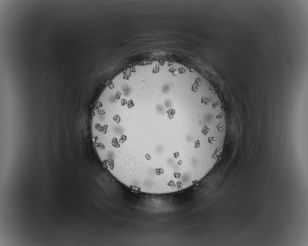 X0000083030565200703022029