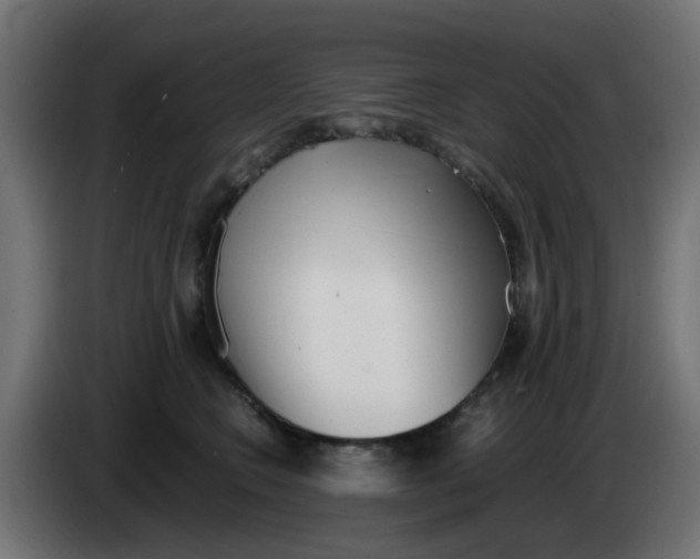 X0000083030566200703022029