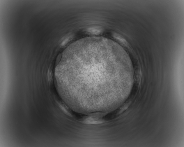 X0000083030568200703022029