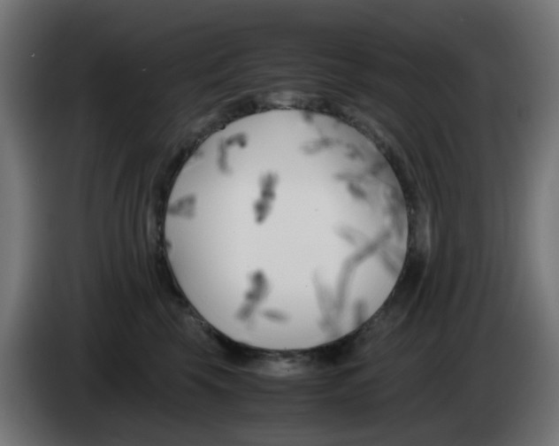 X0000083030569200703022029