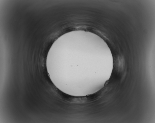 X0000083030571200703022029