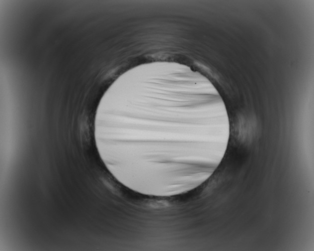 X0000083030572200703022029