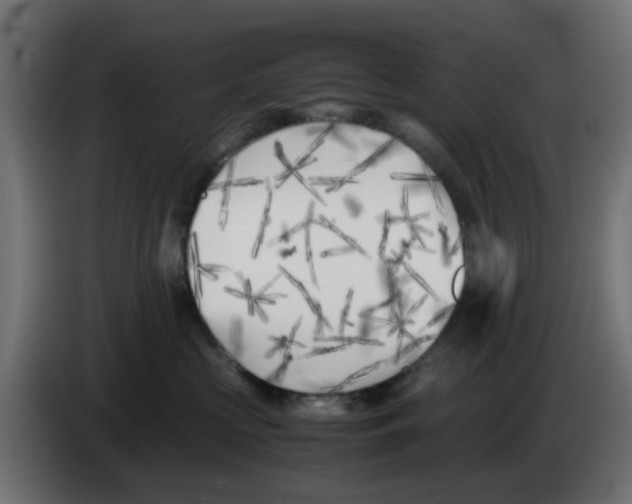 X0000083030573200703022029