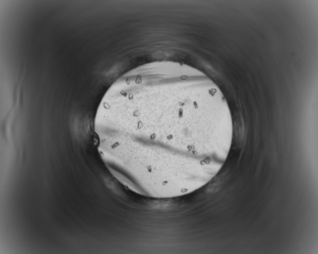 X0000083030574200703022029