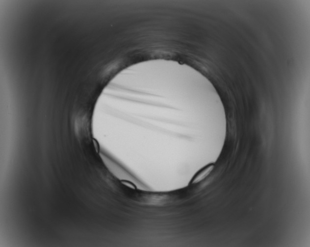 X0000083030575200703022029