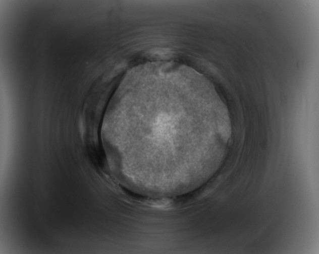 X0000083030576200703022029