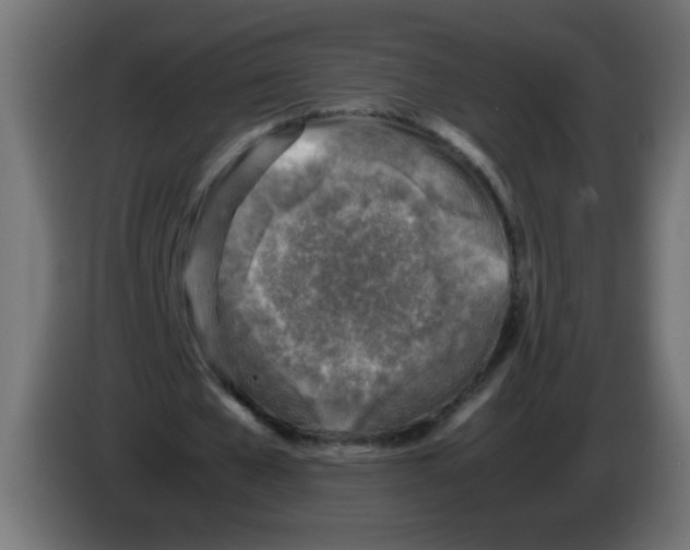 X0000083030577200703022028