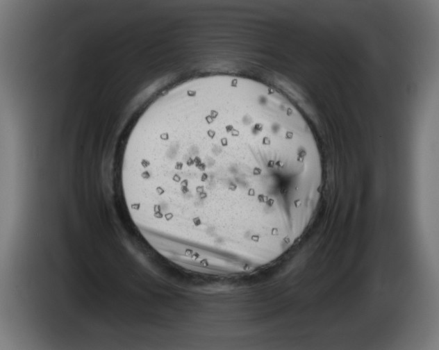 X0000083030578200703022028