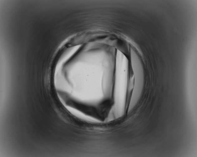 X0000083030580200703022028