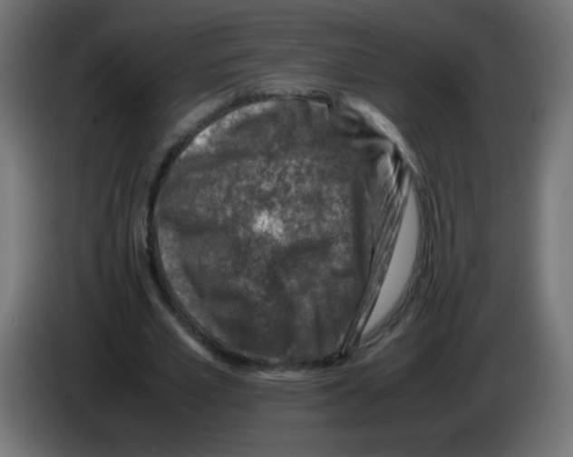 X0000083030581200703022028