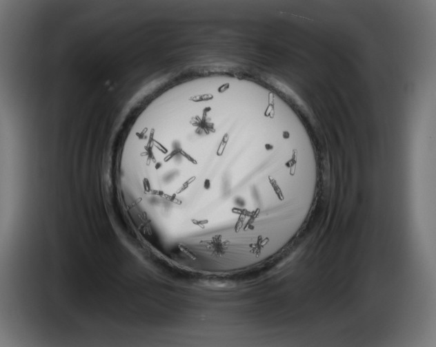 X0000083030582200703022028