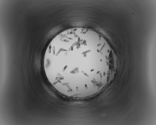 X0000083030586200703022028