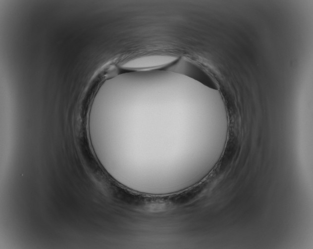 X0000083030587200703022028