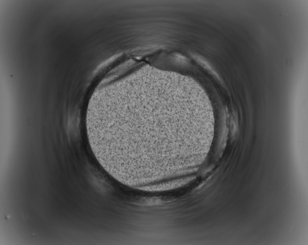 X0000083030588200703022028