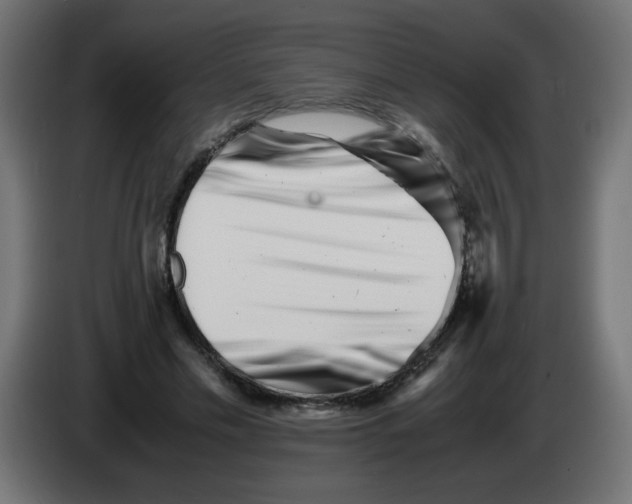 X0000083030589200703022028