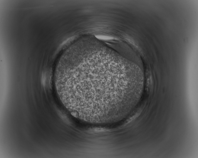 X0000083030590200703022028