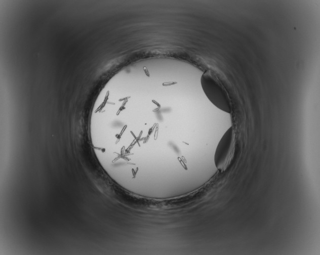 X0000083030591200703022028