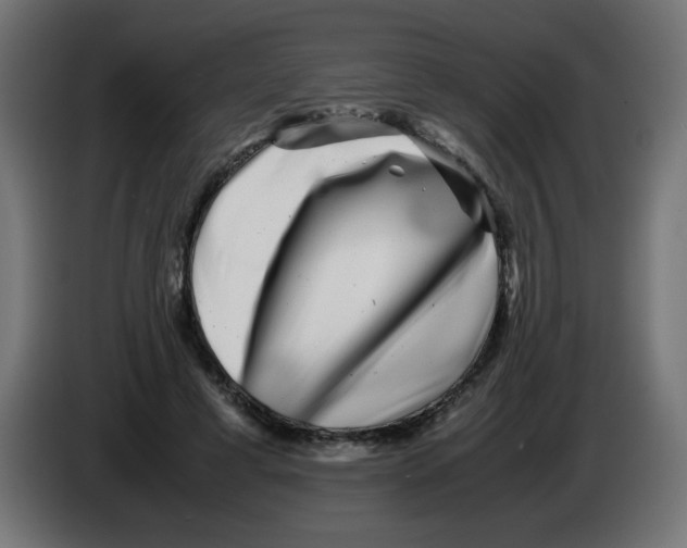 X0000083030593200703022028