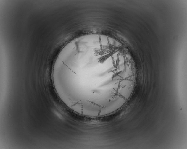 X0000083030594200703022028