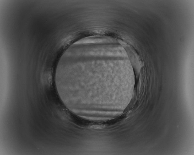 X0000083030595200703022028