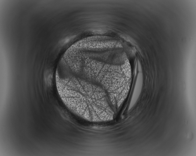 X0000083030596200703022028