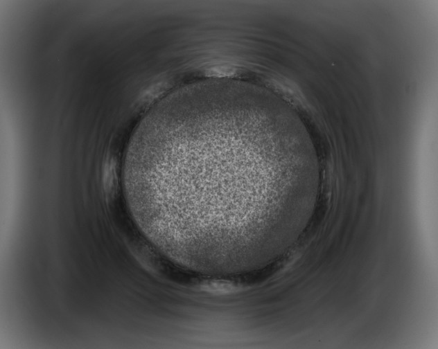 X0000083030598200703022028