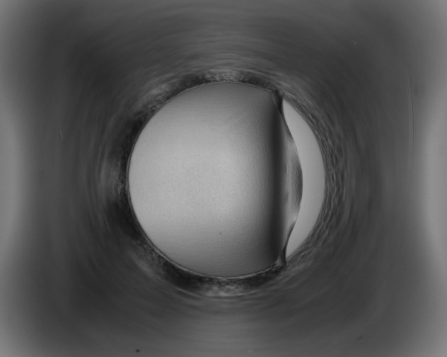 X0000083030599200703022028