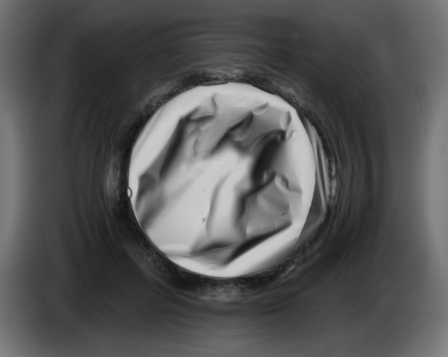 X0000083030600200703022028