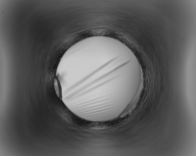 X0000083030601200703022028