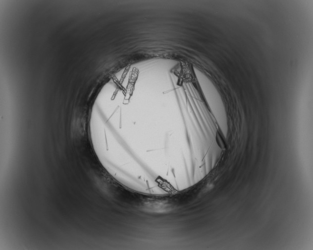 X0000083030602200703022028