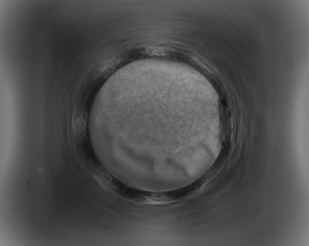 X0000083030603200703022028