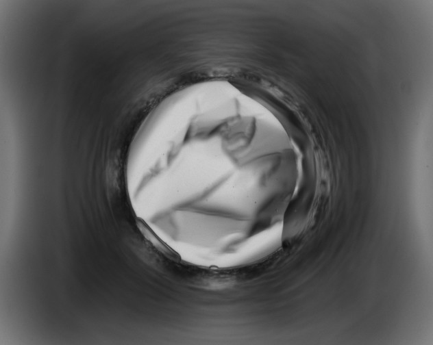 X0000083030604200703022028