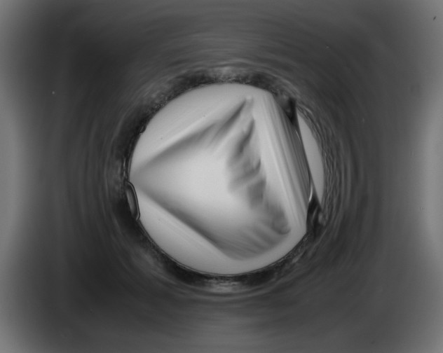 X0000083030605200703022028