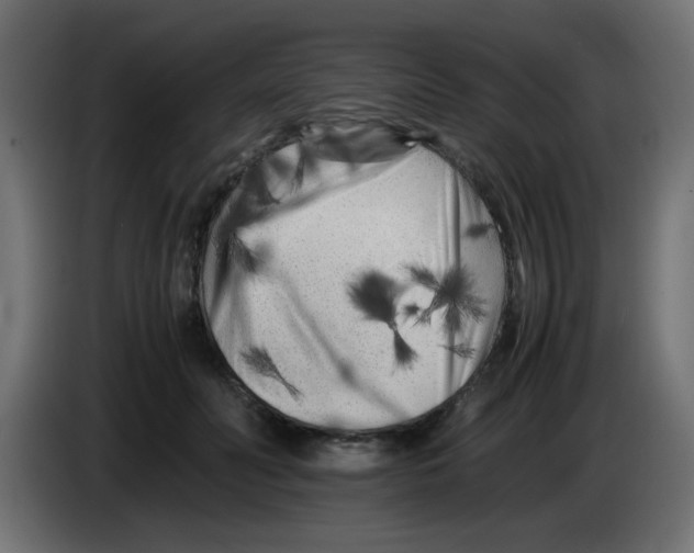 X0000083030606200703022028