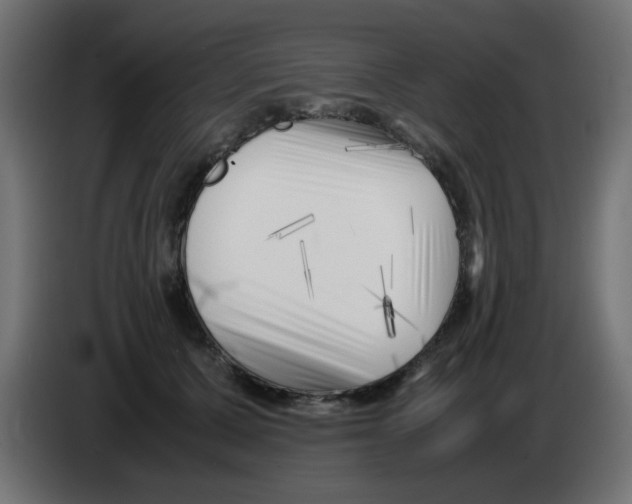 X0000083030607200703022028