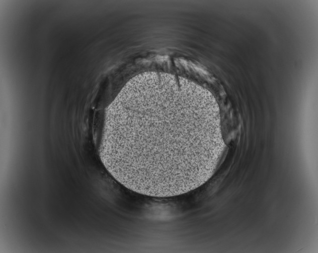 X0000083030608200703022028