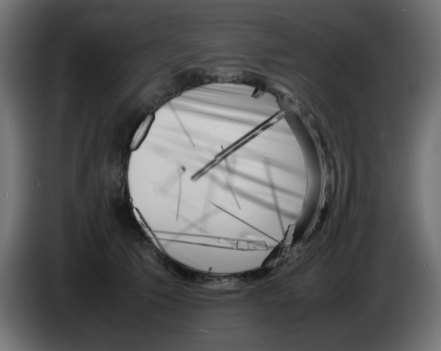 X0000083030609200703022028