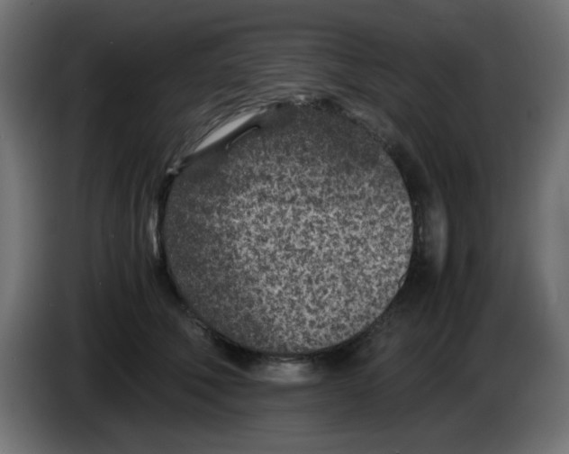 X0000083030610200703022028