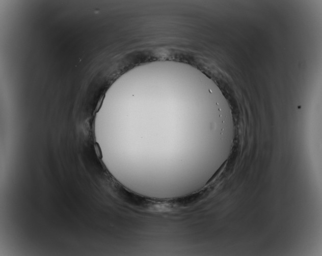 X0000083030611200703022028