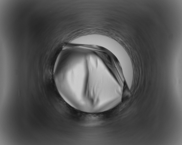 X0000083030613200703022028