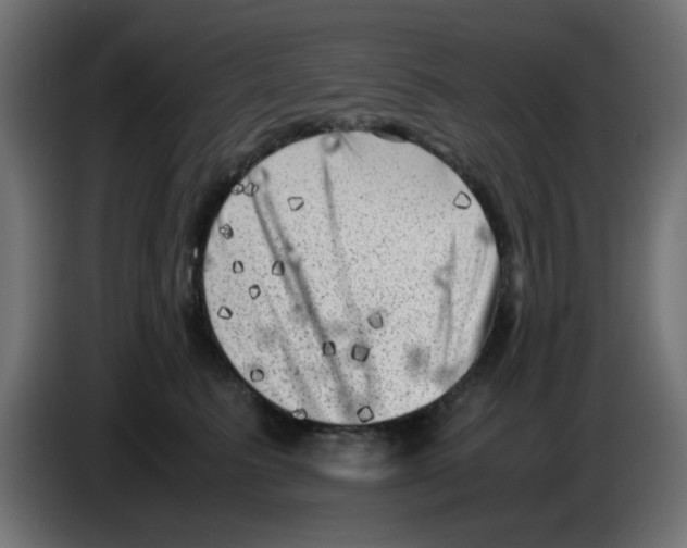 X0000083030615200703022028