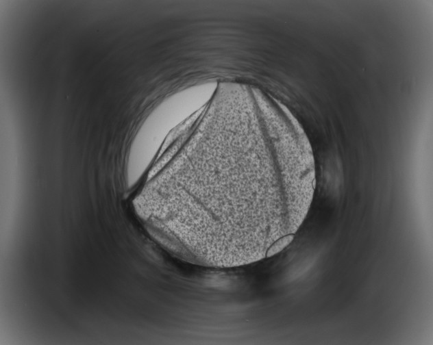 X0000083030616200703022028