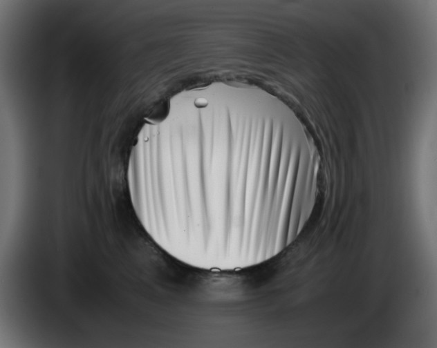 X0000083030617200703022028